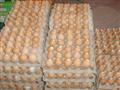 营养鸡蛋礼盒 鸡蛋; 青岛信美养殖厂