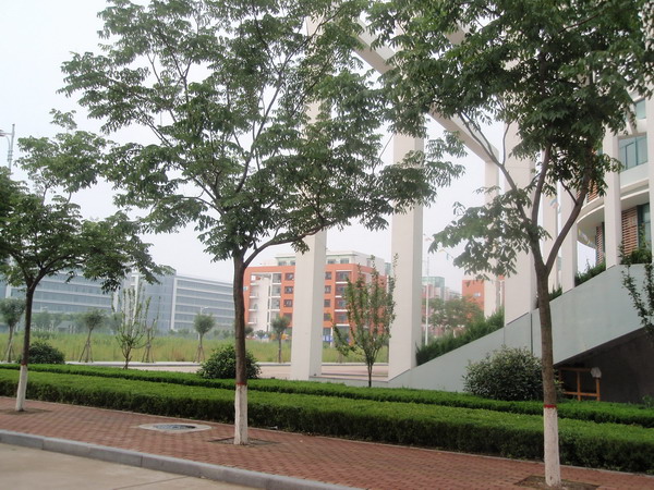 中国石油大学青岛校区 青岛景观;青岛园林环境;青岛景观设计; 青岛景观|青岛景观设计|青岛成林景观工程有限公司