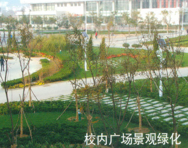 中国石油大学青岛校区 青岛景观;青岛园林环境;青岛景观设计; 青岛景观|青岛景观设计|青岛成林景观工程有限公司