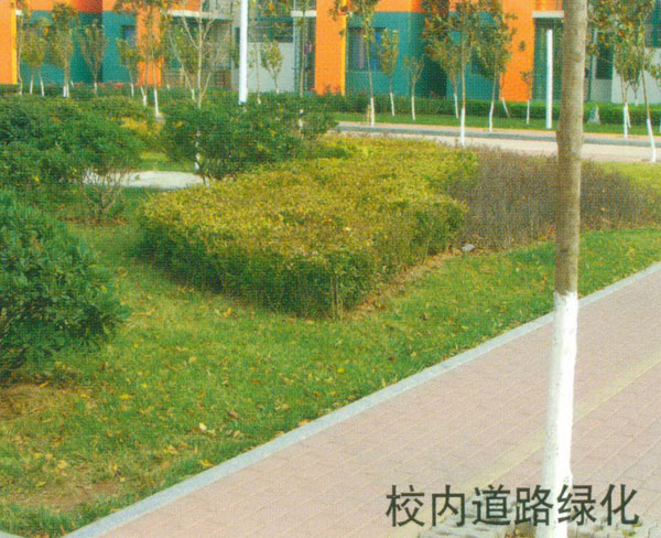 中国石油大学青岛校区 青岛景观;青岛园林环境;青岛景观设计; 青岛景观|青岛景观设计|青岛成林景观工程有限公司