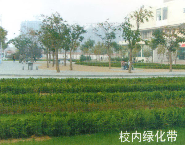 中国石油大学青岛校区 青岛景观;青岛园林环境;青岛景观设计; 青岛景观|青岛景观设计|青岛成林景观工程有限公司