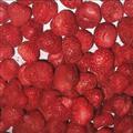 FD_Strawberry_　Whole Fruits;Vegetables;Blueberry;Apple;Beans;ADProduct;FDProduct; Qingdao Newcrop Co., Ltd.