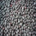 IQF Blueberry Grade A Fruits;Vegetables;Blueberry;Apple;Beans;ADProduct;FDProduct; Qingdao Newcrop Co., Ltd.