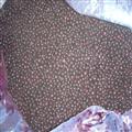 IQF Wild  Blueberry Grade A Fruits;Vegetables;Blueberry;Apple;Beans;ADProduct;FDProduct; Qingdao Newcrop Co., Ltd.