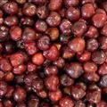IQF Sweet Dark Cherries Grade B Fruits;Vegetables;Blueberry;Apple;Beans;ADProduct;FDProduct; Qingdao Newcrop Co., Ltd.