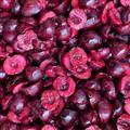 IQF Sweet Dark Cherries Halves Fruits;Vegetables;Blueberry;Apple;Beans;ADProduct;FDProduct; Qingdao Newcrop Co., Ltd.